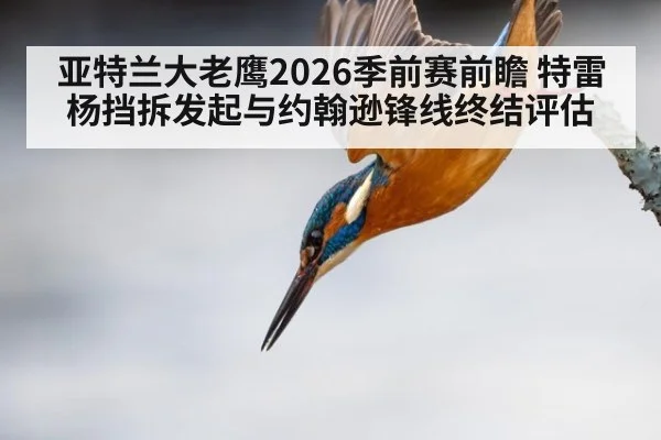 亚特兰大老鹰2026季前赛前瞻 特雷杨挡拆发起与约翰逊锋线终结评估